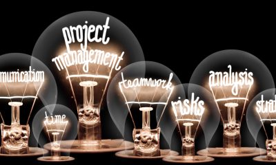 Light Bulbs Concept Photo of light bulb group with shining fibers in a shape of PROJECT MANAGEMENT concept related words isolated on black background